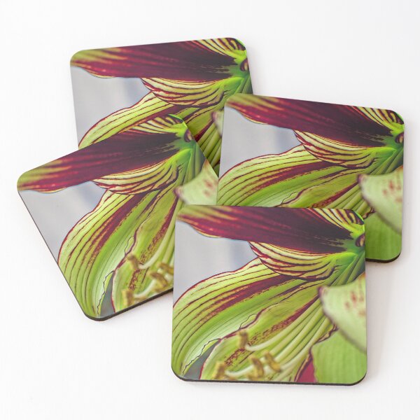 Item preview, Ready for my Close-up designed and sold by Eileen McVey.