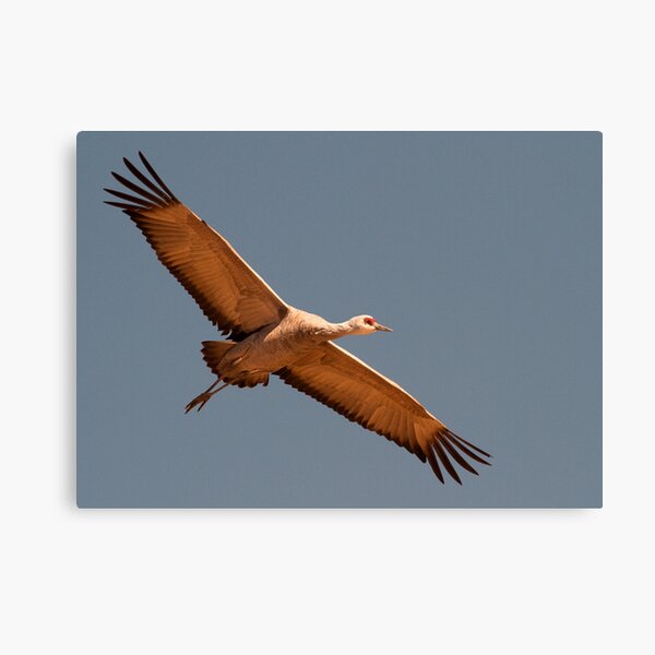 Item preview, Lone Crane designed and sold by Marvin Collins.