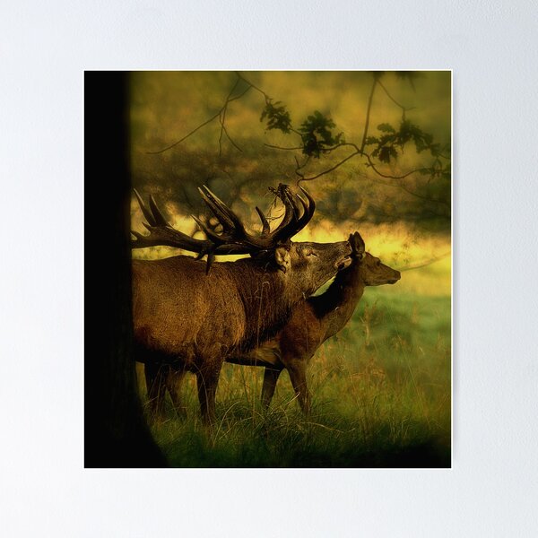 Item preview, Call of the wild designed and sold by Alan Mattison.