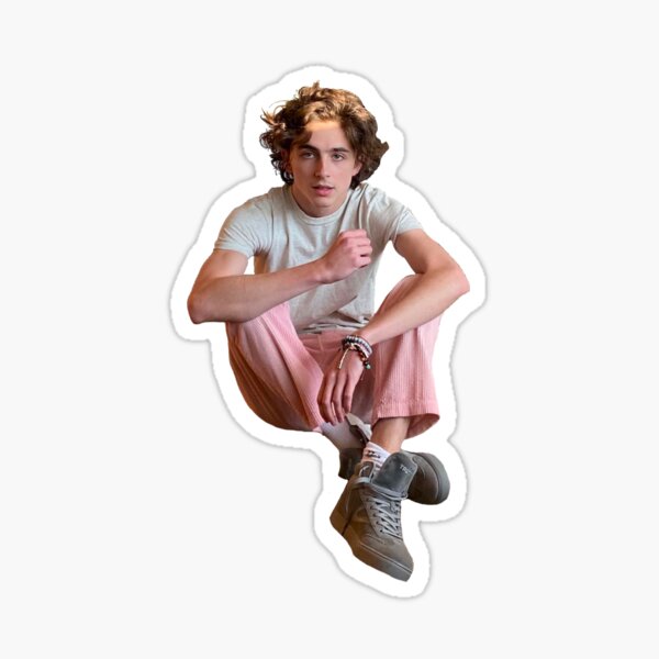 Timothée Chalamet Sticker