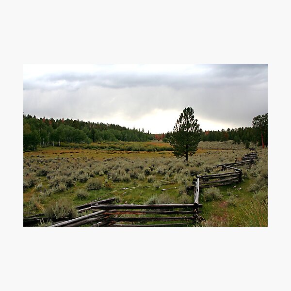 Item preview, High Pasture designed and sold by Eileen McVey.