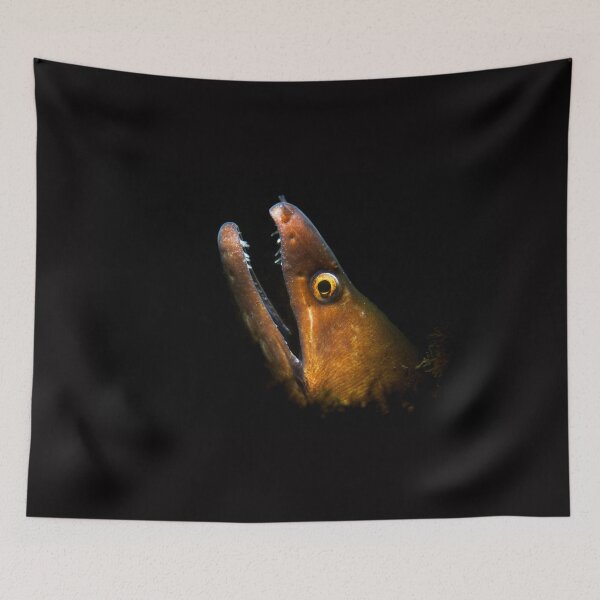 Item preview, The Teeth of a Moray Eel designed and sold by Brent Barnes.