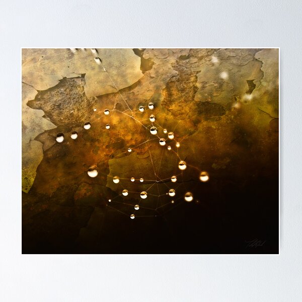 Item preview, Pearls on a Web designed and sold by Theodore Black.