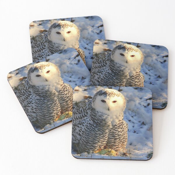 Item preview, Snowy Owl designed and sold by Larry Trupp.
