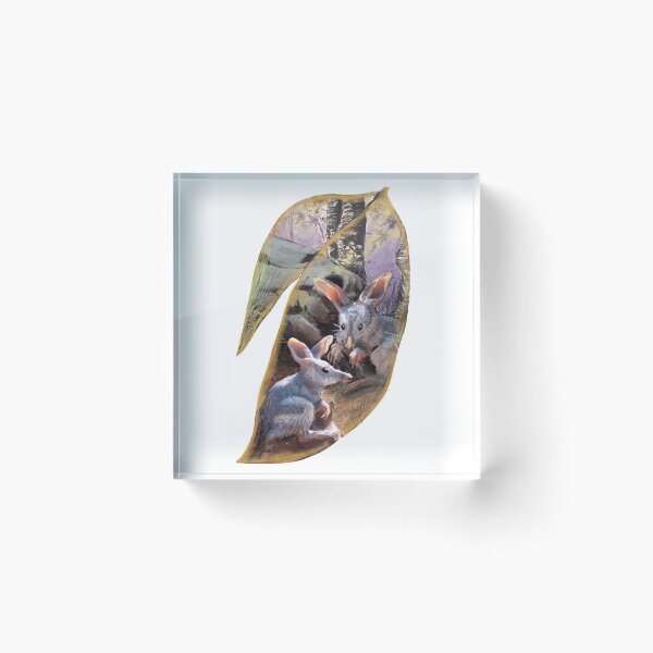 Item preview, Bilby desert dweller designed and sold by Lyn Walker.