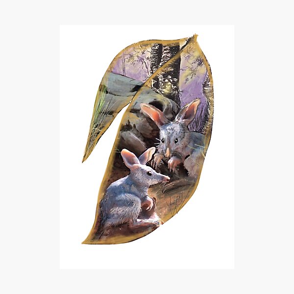 Item preview, Bilby desert dweller designed and sold by Lyn Walker.