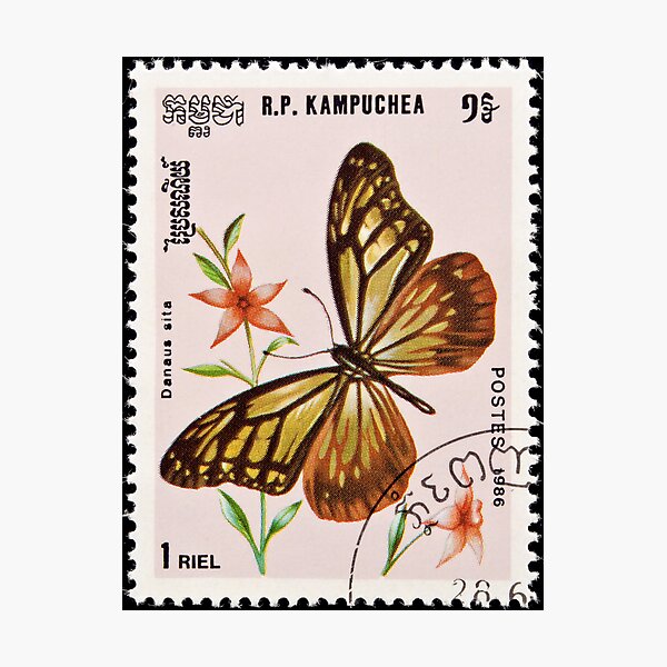 Artikelvorschau, Stamp, butterfly and flower. entworfen und verkauft von FER737NG.