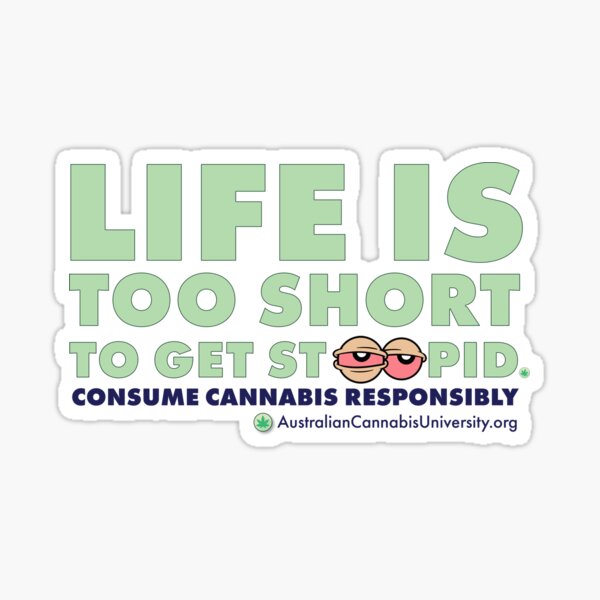 Stoopid Sticker