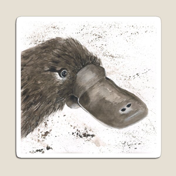 Item preview, Platypus designed and sold by Austin Fabinski Art.