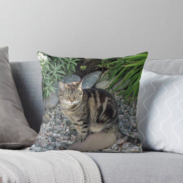 Item preview, Sitting Pretty - Tabby Cat in a Rockery designed and sold by BlueMoonRose.