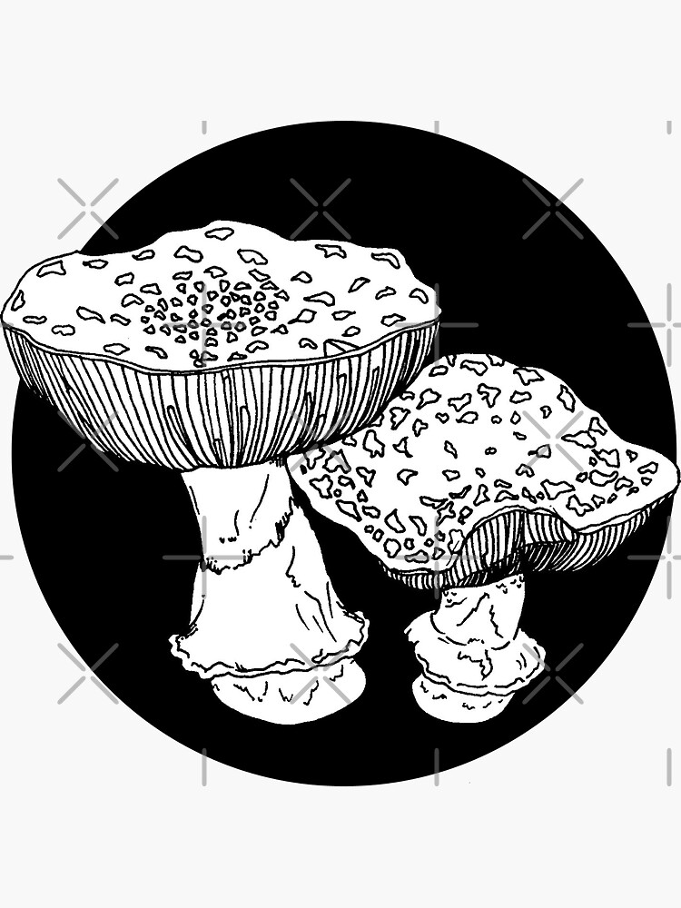 amanita mushrooms illustration by craftordiy
