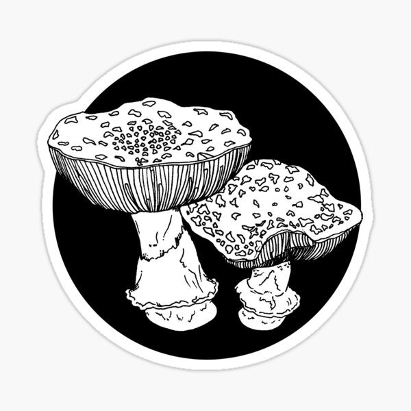 amanita mushrooms illustration Sticker
