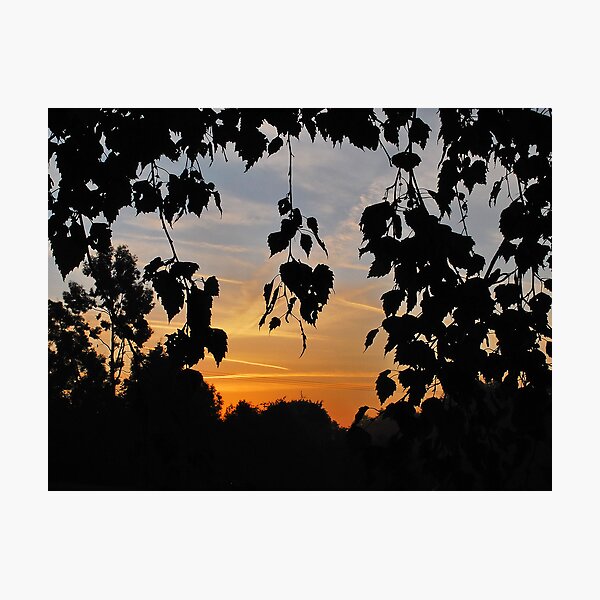 Item preview, Hanging Leaves Expanded designed and sold by relayer51.