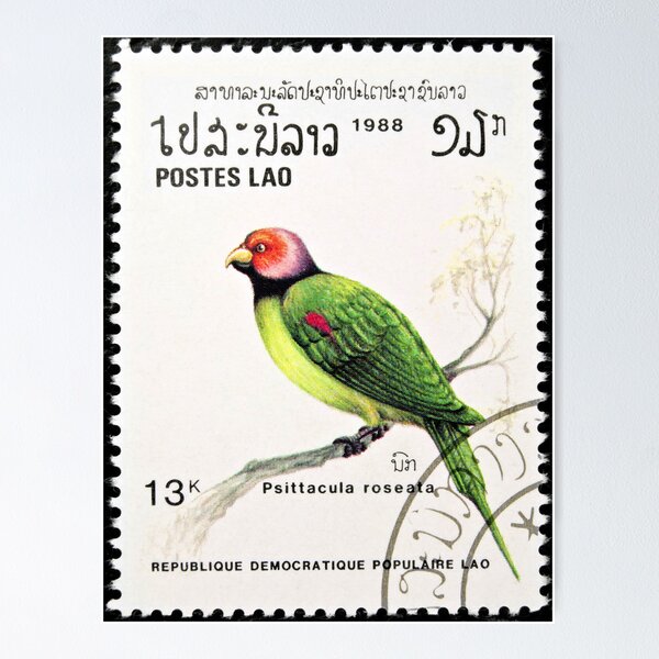 Artikelvorschau, Blossom-headed Parakeet bird stamp. entworfen und verkauft von FER737NG.