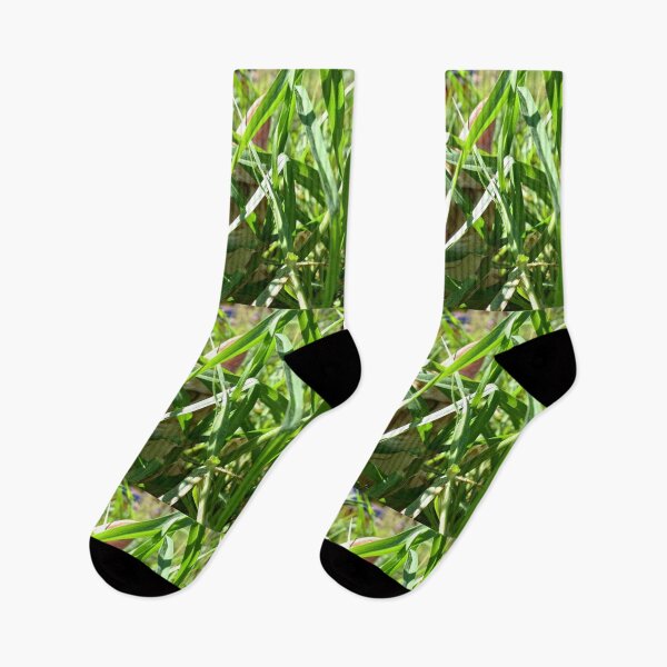 Item preview, COMMANDO orange red cat green grass nature garden animal feline leaf designed and sold by dragonemma.