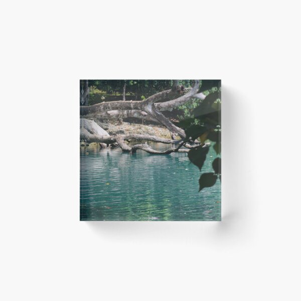 Item preview, Bayou Water designed and sold by JenniBstudios.