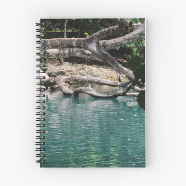 Item preview, Bayou Water designed and sold by JenniBstudios.