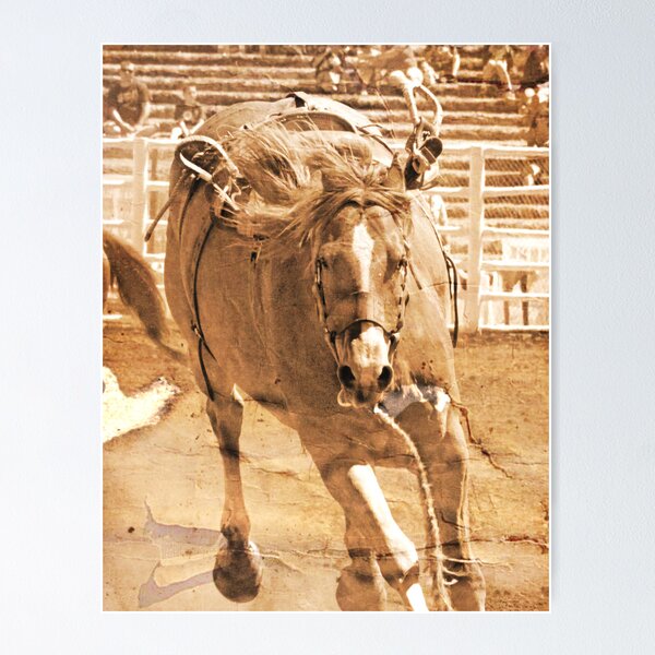 Item preview, Buckin' Bronc - Molalla Buckeroo  designed and sold by Diana Cox.