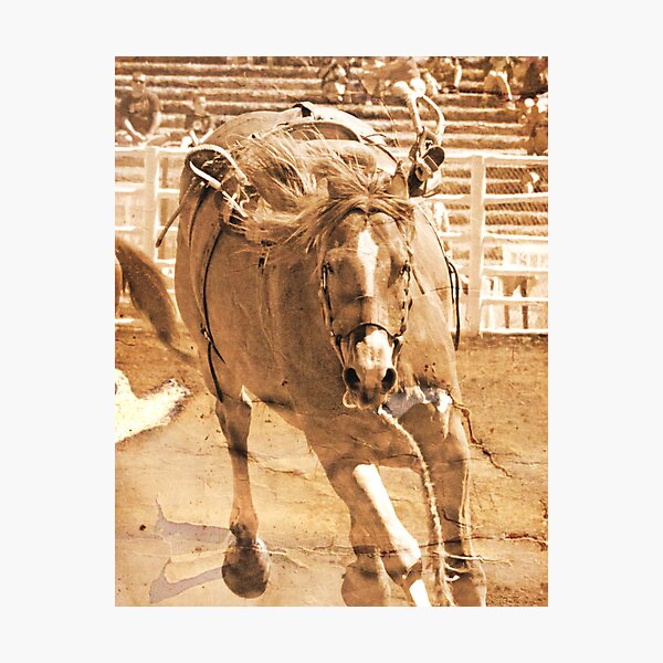 Artikelvorschau, Buckin' Bronc - Molalla Buckeroo  entworfen und verkauft von Diana Cox.