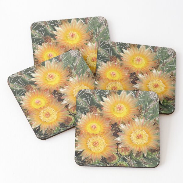 Item preview, Four Cactus Flowers designed and sold by Elisabeth Lucas.
