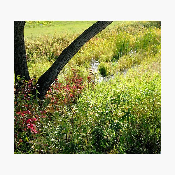Item preview, An Assiniboine Park View designed and sold by kenspics.