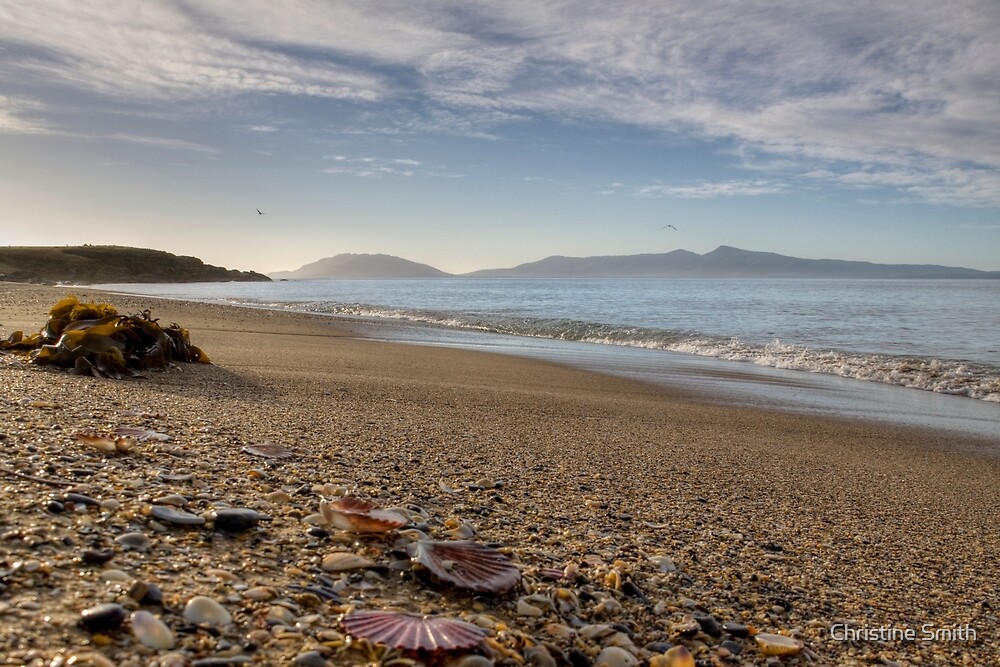 "Cressy Beach, Tasmania, Australia" by Christine Smith Redbubble