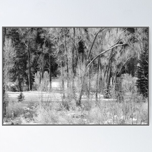 Artikelvorschau, Colorado
Monochromes Bild
Es wird nur eine Originalausgabe von 100 Drucken dieses Bildes erstellt entworfen und verkauft von Wayne King.
