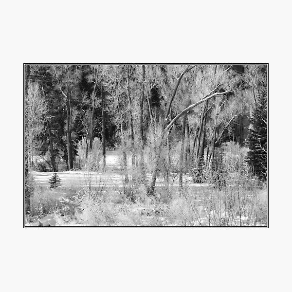 Artikelvorschau, Colorado
Monochromes Bild
Es wird nur eine Originalausgabe von 100 Drucken dieses Bildes erstellt entworfen und verkauft von Wayne King.