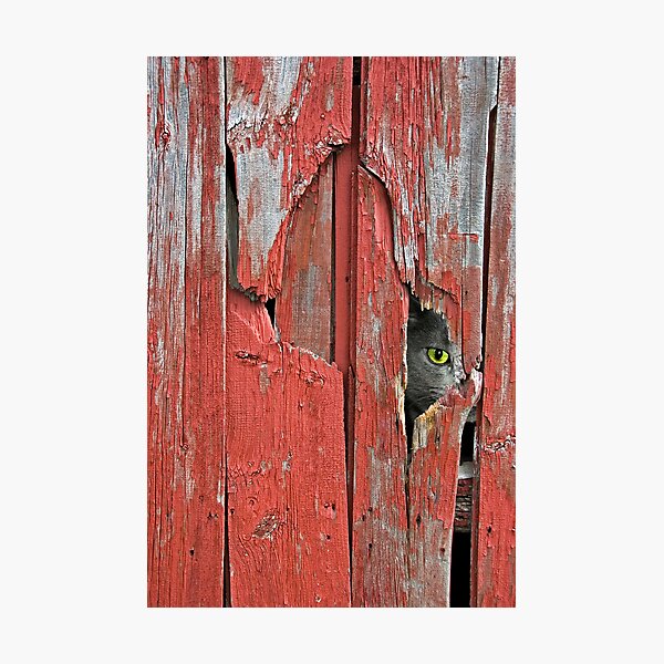 Item preview, Peeping Tom designed and sold by Maria Dryfhout.