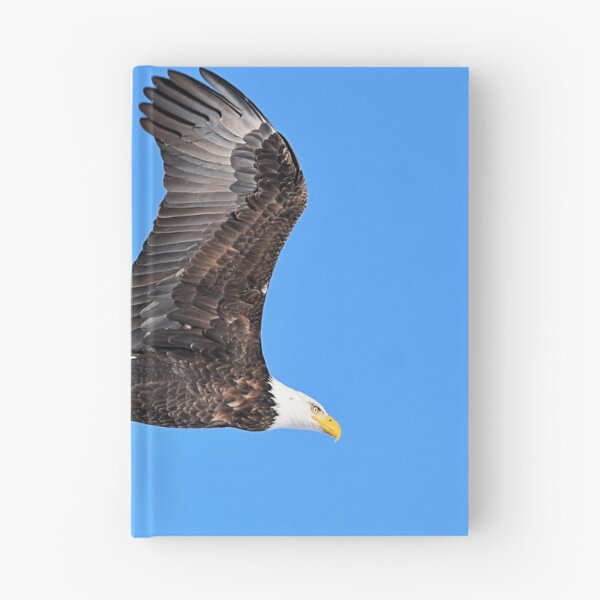 Item preview, Flying Bald Eagle designed and sold by NicoleFrederick.