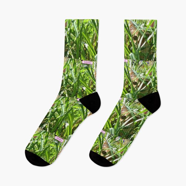 Item preview, COMMANDO 2 orange red cat green grass nature garden animal feline leaf designed and sold by dragonemma.