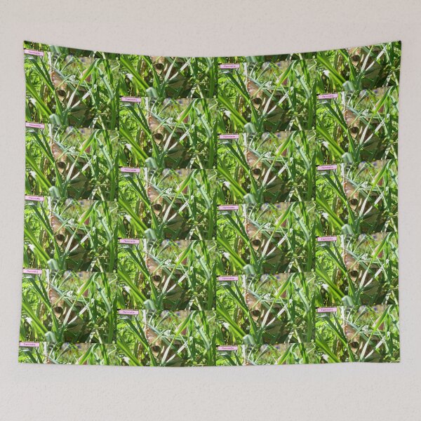 Item preview, COMMANDO 2 orange red cat green grass nature garden animal feline leaf designed and sold by dragonemma.