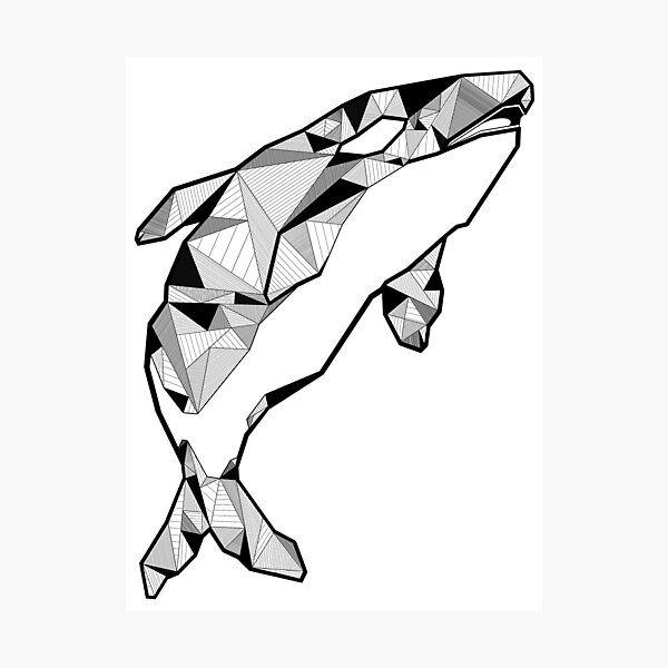 White Whale Wall Art Redbubble