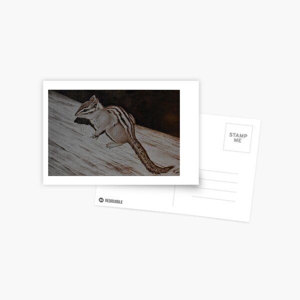 Chipmunk pyrography artwork Postcard