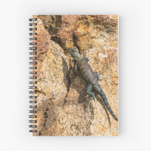 Artikelvorschau, California Granite Spiny Lizard entworfen und verkauft von PsychoAlien.com.