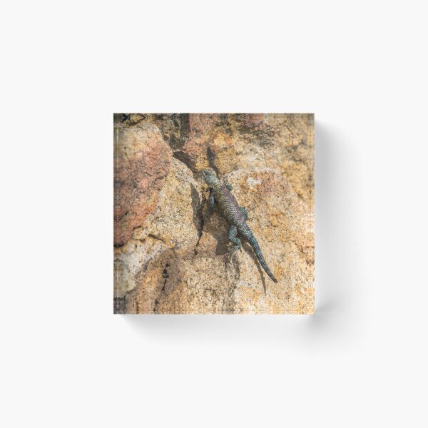 Artikelvorschau, California Granite Spiny Lizard entworfen und verkauft von PsychoAlien.com.