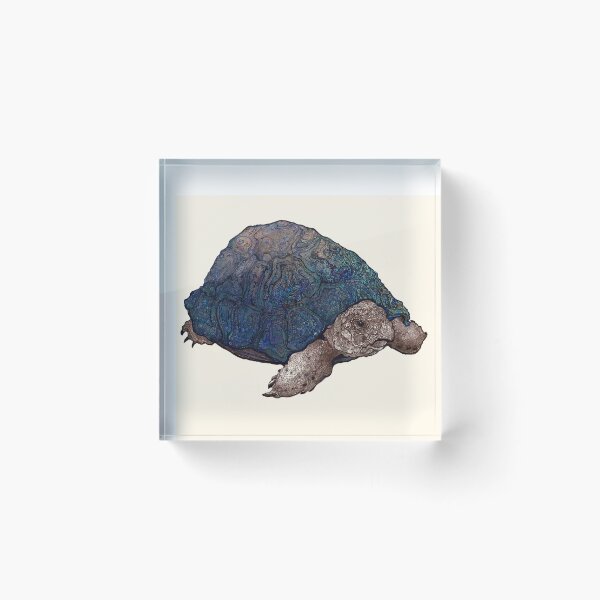 Artikelvorschau, Blaue Schildkröte entworfen und verkauft von Chobek.