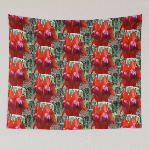 Item preview, Sturt's Desert Pea designed and sold by Jan Stead JEMproductions.