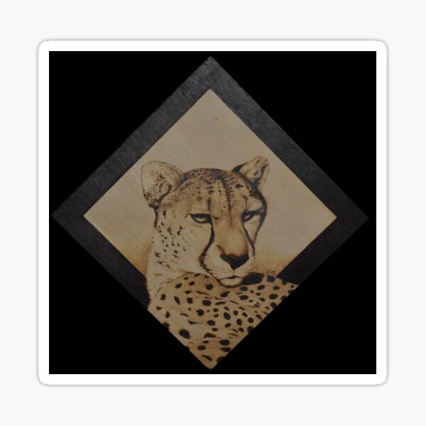 Cheetah pyrography art Sticker