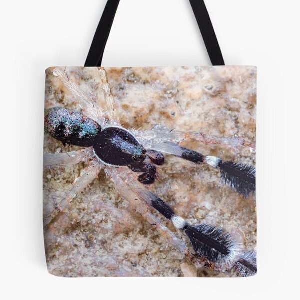 Item preview, Tiny Ground Hunting Spider designed and sold by Normf.
