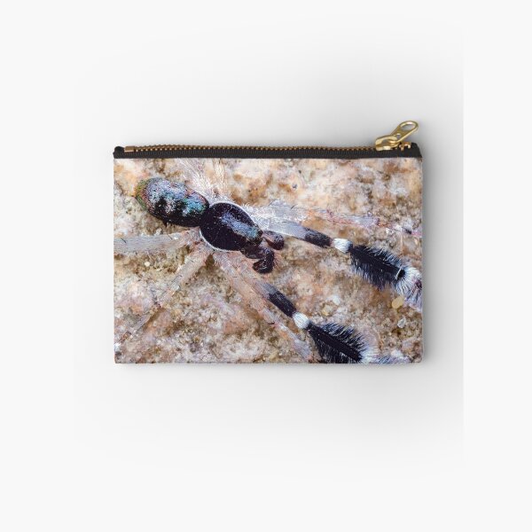 Item preview, Tiny Ground Hunting Spider designed and sold by Normf.