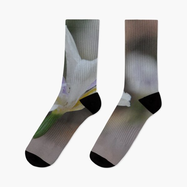 Item preview, Single Australian Native Iris designed and sold by TheWebspinner.