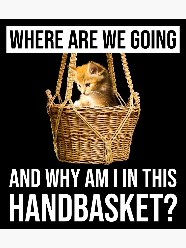 Where are we going, and what's with the handbasket? : Photo