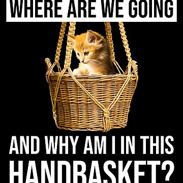 Where are we going, and what's with the handbasket? : Photo