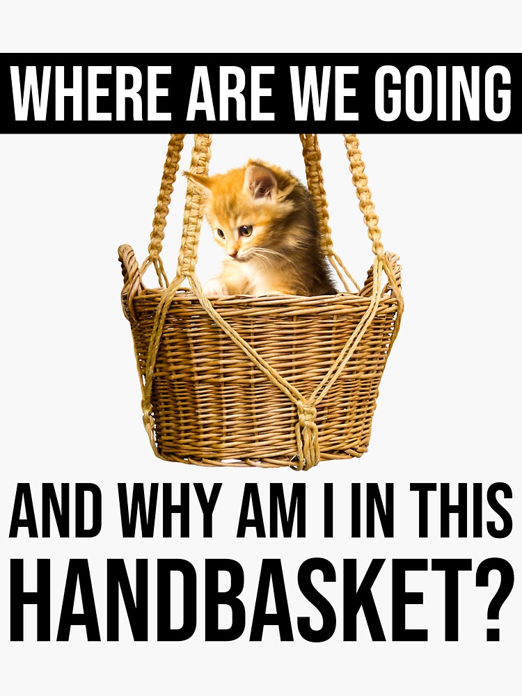 Where are we going, and what's with the handbasket? : Photo