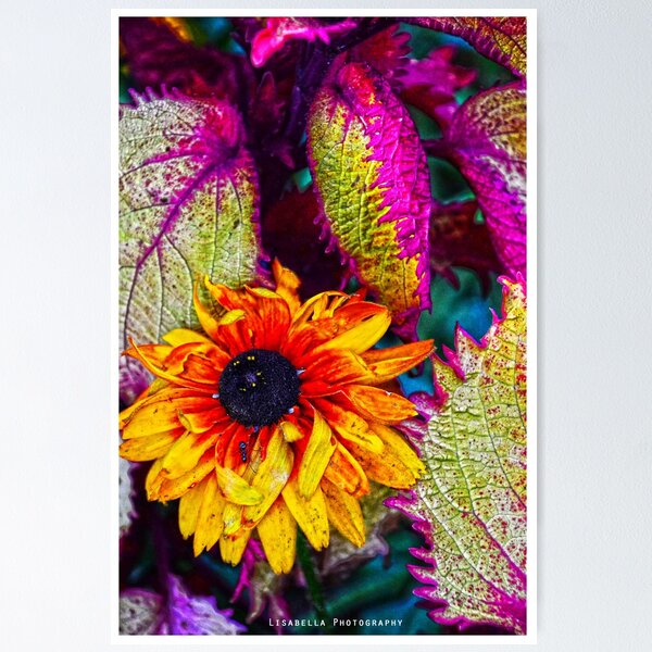 Item preview, Diamond in the Rough designed and sold by lisabella.