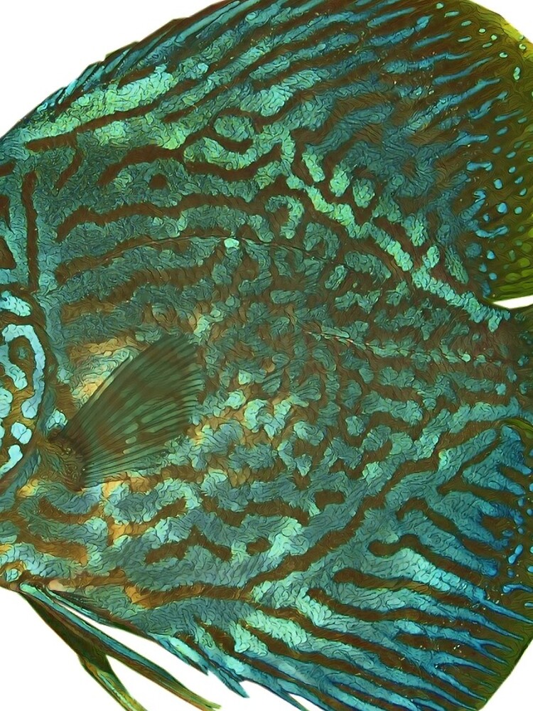 Thumbnail 4 of 4, iPhone Case, Discus fish designed and sold by cooolcontent.