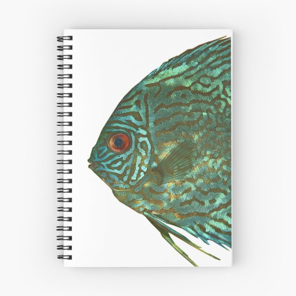 Item preview, Discus fish designed and sold by cooolcontent.