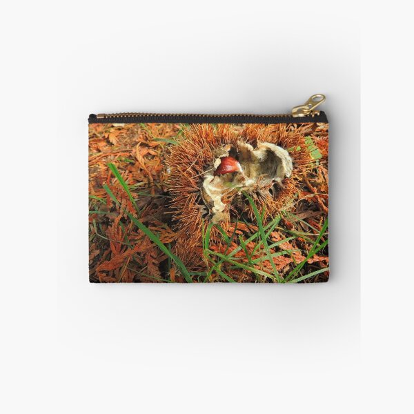 Item preview, Chestnut Or Hedgehog? designed and sold by Alexandra Lavizzari.