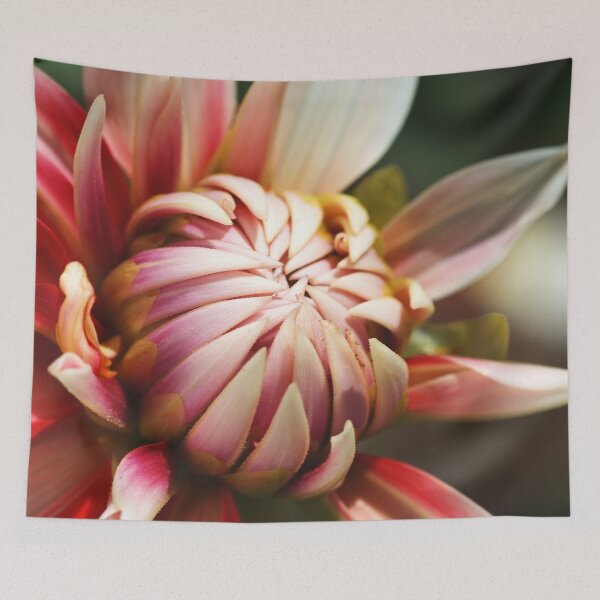 Item preview, Dahlias Sole designed and sold by Joy Watson - Natural Light Photography .